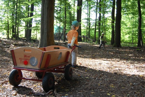 Kind zieht Bollerwagen durch den Wald