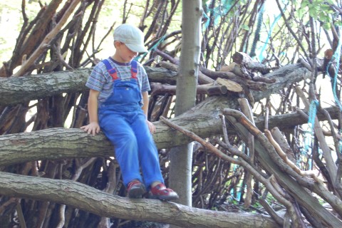 Kind sitzt auf Baumstamm