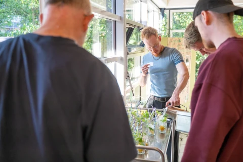 Vier Personen in einem sonnigen Raum mit gro&szlig;en Fenstern. Im Vordergrund zwei M&auml;nner von hinten, einer mit Glatze, der andere tr&auml;gt ein Burgunder-Sweatshirt und Basecap. Im Mittelpunkt ein Mann mit blauem T-Shirt, der Pflanzenproben auf einem Metalltisch zeigt und spricht. Rechts daneben ein weiterer Mann mit neutraler Kleidung betrachtet die Szene. Im Hintergrund gr&uuml;ne Pflanzen und B&auml;ume au&szlig;erhalb der Fenster.