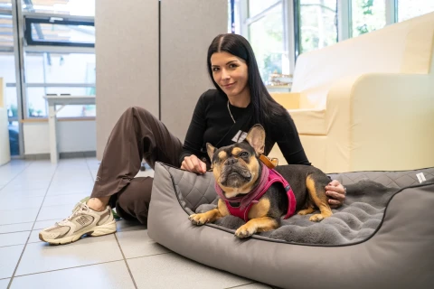 Frau mit schwarzen langen Haaren, schwarzem Oberteil und braunen Hosen sitzt auf einem Boden mit grauen Fliesen, lehnt an ein Sofa. Neben ihr liegt ein kleiner Hund mit braunem Fell und schwarzer Schnauze in einem grauen Hundebett, tr&auml;gt ein pinkes Geschirr. Im Hintergrund Glasfenster und eine wei&szlig;e Sofa-Ecke.