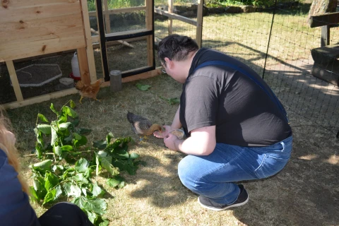 Ein Besch&auml;ftigter f&uuml;ttert eines der H&uuml;hner.