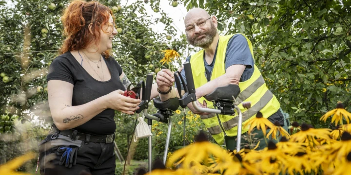Frau mit roten Haaren, schwarzem T-Shirt und Schere in der Hand steht neben einem Mann mit Glatze, Vollbart, gelber Warnweste und Unterarmgehst&uuml;tzen. Beide betrachten eine gelbe Blume, umgeben von weiteren gelben Blumen und gr&uuml;nem Laub im Freien.
