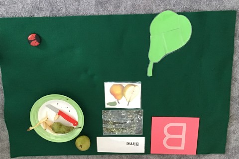 Morgenkreis-Beispiel: Birne (Fotos, Pappbirne, aufgeschnittene Birnenfrucht und eine rote Karte mit dem Buchstaben 
