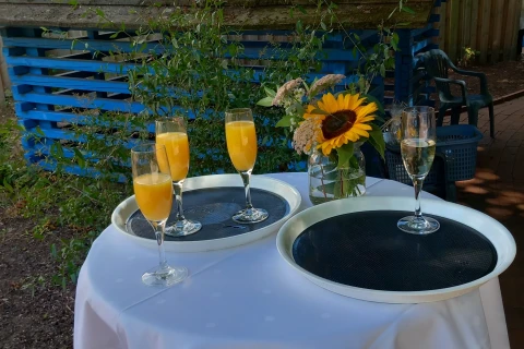 Runder Tisch mit wei&szlig;er Tischdecke, darauf zwei Serviertabletts mit jeweils zwei gef&uuml;llten Champagnergl&auml;sern, eins mit Orangensaft und eins mit Sekt. Vase mit Sonnenblume und weiteren Blumen. Im Hintergrund ein wettergegerbtes Holzdach und gr&uuml;ne Pflanzen. Rechteckige blaue Struktur und Gartenst&uuml;hle erkennbar.
