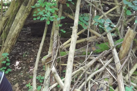 Ansammlung von wild durcheinander gestapelten &Auml;sten und Zweigen im Wald, teils mit Moos bedeckt. Im Hintergrund dichter Bewuchs aus Str&auml;uchern und kleinen B&auml;umen. Links unten erkennbar der Arm einer Person in dunkler Kleidung mit rotem Rucksack.