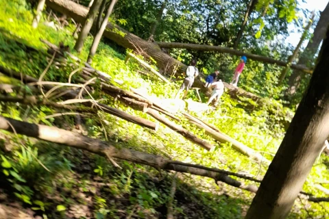 Lichter Wald mit umgest&uuml;rzten B&auml;umen und vereinzeltem Gestr&uuml;pp, vier Menschen mittig im Bild. Eine Person tr&auml;gt pinkfarbene Kleidung, die anderen in gedeckten Farben. Sonnenlicht f&auml;llt durch das Laub und beleuchtet den Waldboden.