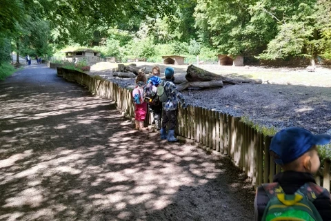Kinder mit bunten Rucks&auml;cken stehen an einem niedrigen Holzzaun, der ein Gehege mit Kiesboden und Baumst&auml;mmen abgrenzt. Im Hintergrund dichte gr&uuml;ne B&auml;ume und tier&auml;hnliche Unterst&auml;nde aus Holz. Links ein breiter Waldweg mit verstreuten Spazierg&auml;ngern, unter schattigen, lichtdurchbrochenen Baumkronen.