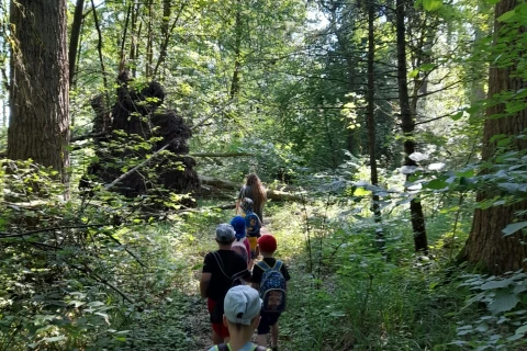 Kindergruppe mit Rucks&auml;cken l&auml;uft auf einem schmalen Pfad durch einen gr&uuml;nen, dicht bewachsenen Wald. Links ein gro&szlig;er entwurzelter Baumstumpf, durchsetzt von Sonnenlicht, das durch die Baumkronen f&auml;llt.